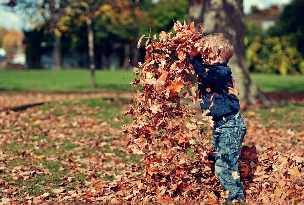 Unlocking the Power of Sensory Play: Nurturing Neural Connections in Early Years